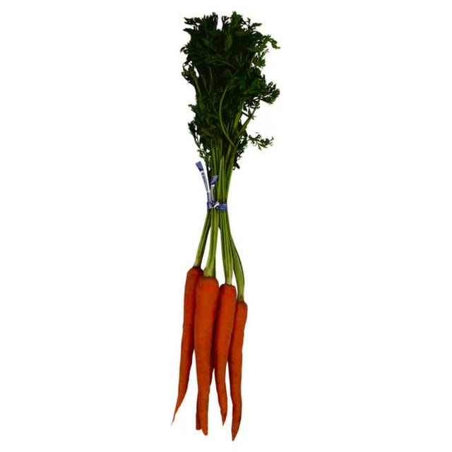 Carrot.